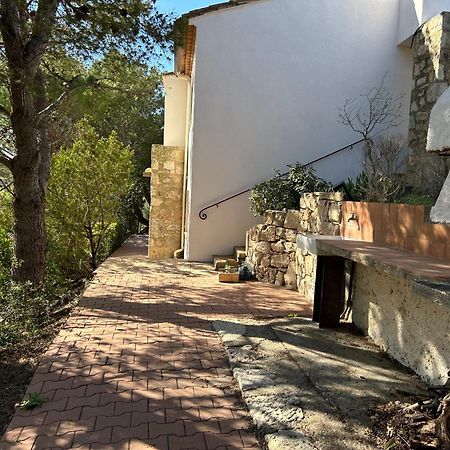 Grand T2 Bis Avec Terrasse Et Vue Daire Portel-des-Corbieres Dış mekan fotoğraf